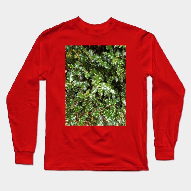 Holly Long Sleeve T-Shirt by Kyarwon